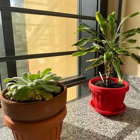 Appartamento Eliana Asti Exterior foto